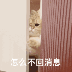 示例图片